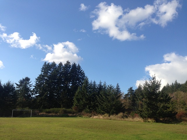 平衡