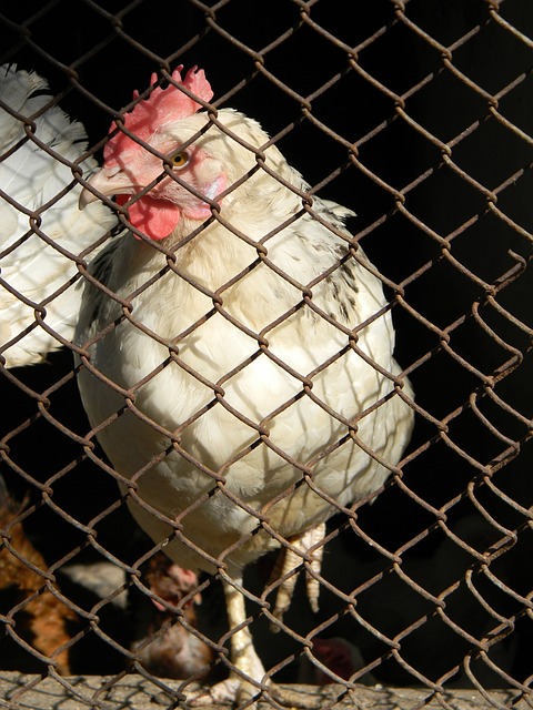 他们注重细 他们注重细