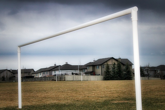 战略眼光 战略眼光