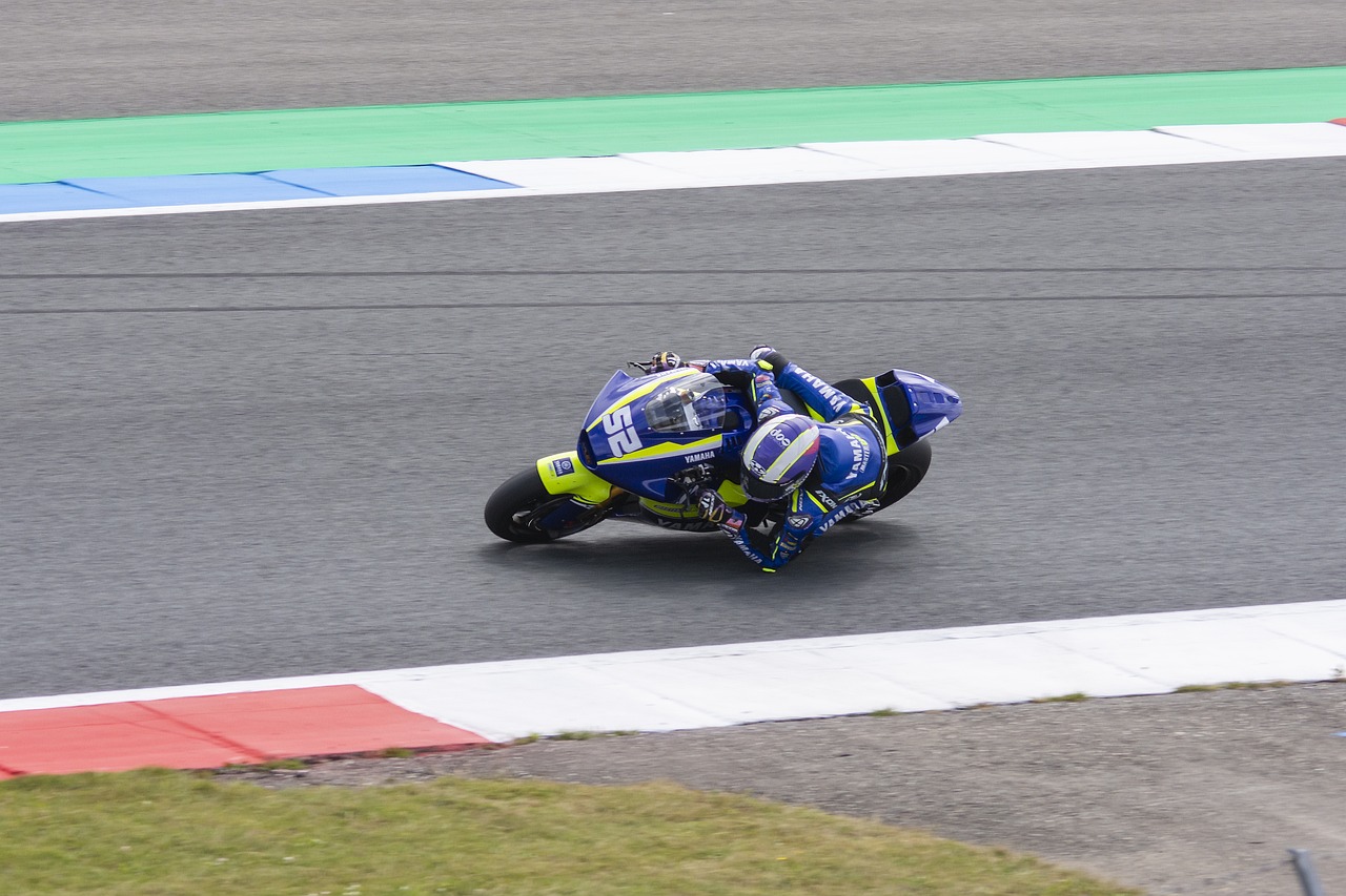 其他豪门的 其他豪门的