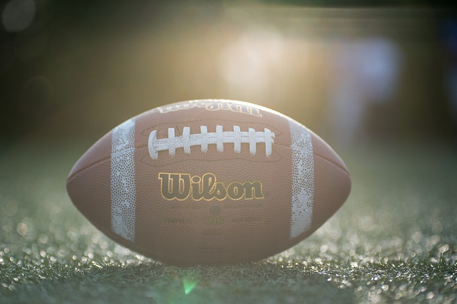 或许将在这 或许将在这