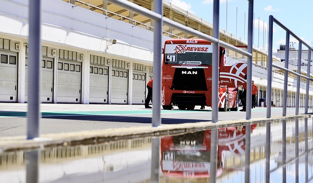 这位年轻的 这位年轻的