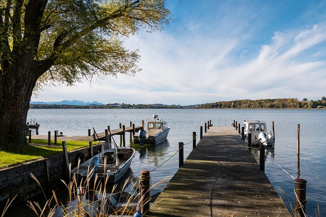 登革热传播 登革热传播