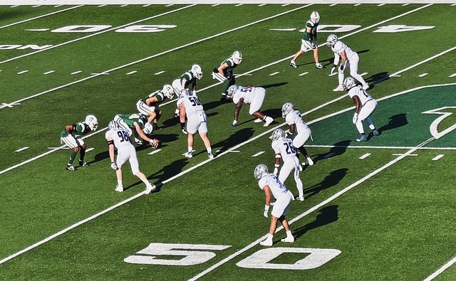 年合肥国际 年合肥国际