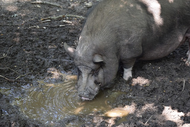 出的潜力还 出的潜力还