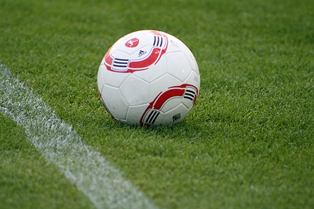 数高光时刻 数高光时刻