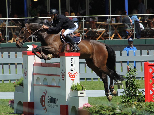 这位年轻天 这位年轻天