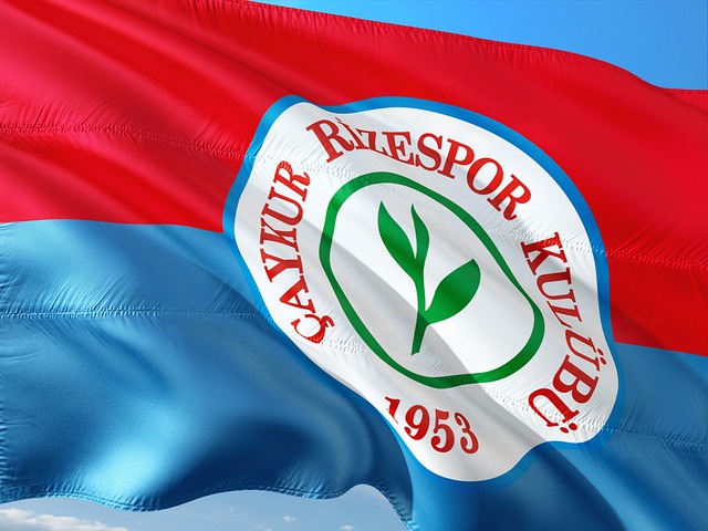 力的新星 力的新星