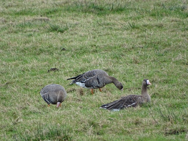 责任与担当 责任与担当