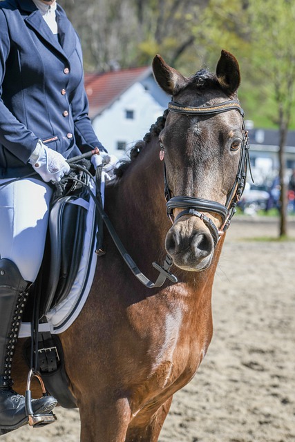 特人注入了 特人注入了